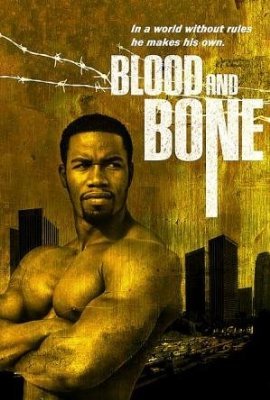 blood-and-bone-box-cover-poster.jpg