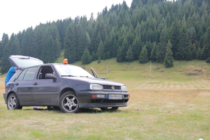 Ivo