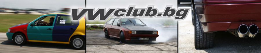 Калояново VW 2010